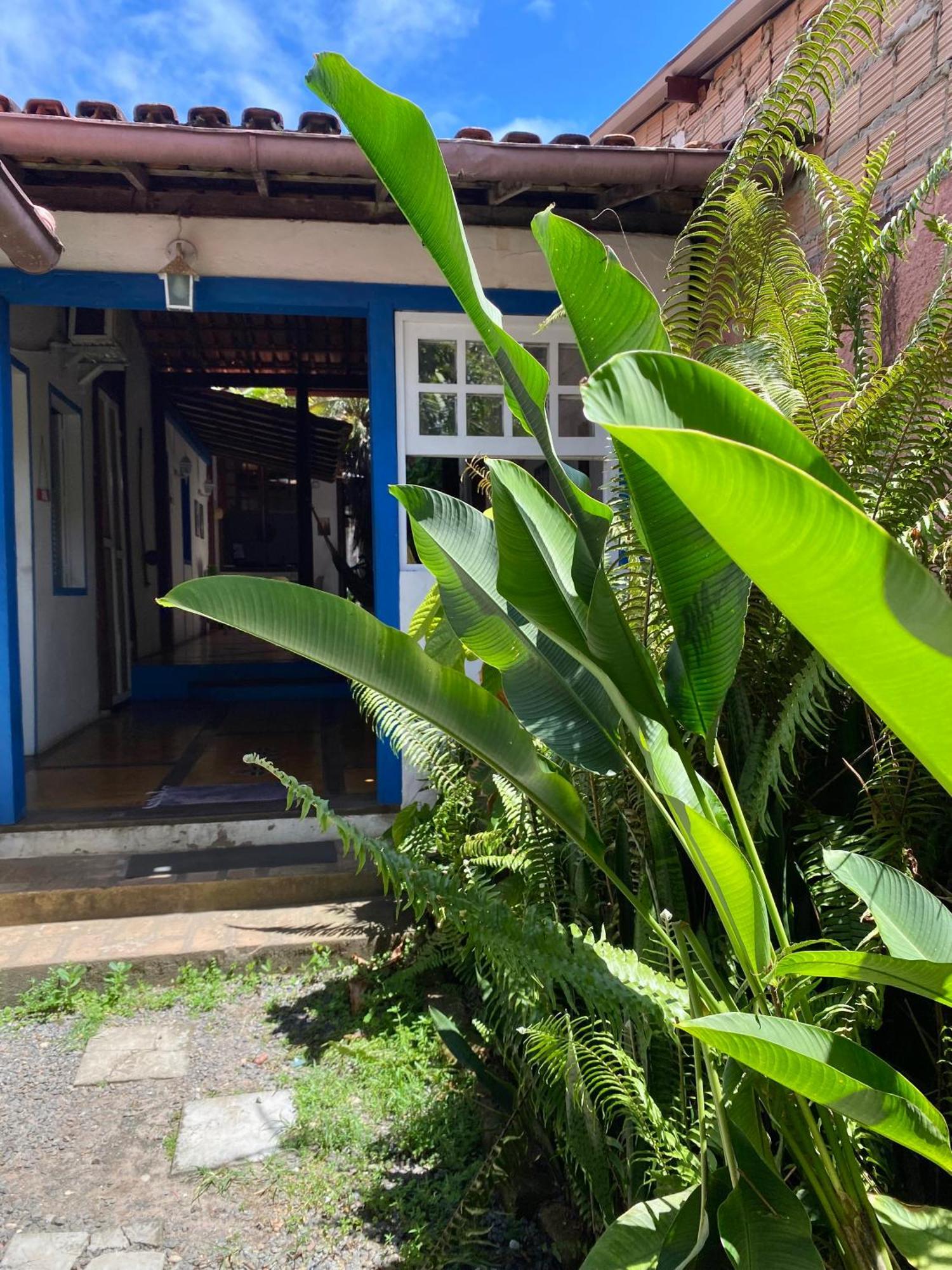 Tropicalia Hostel E Pousada Itacaré المظهر الخارجي الصورة
