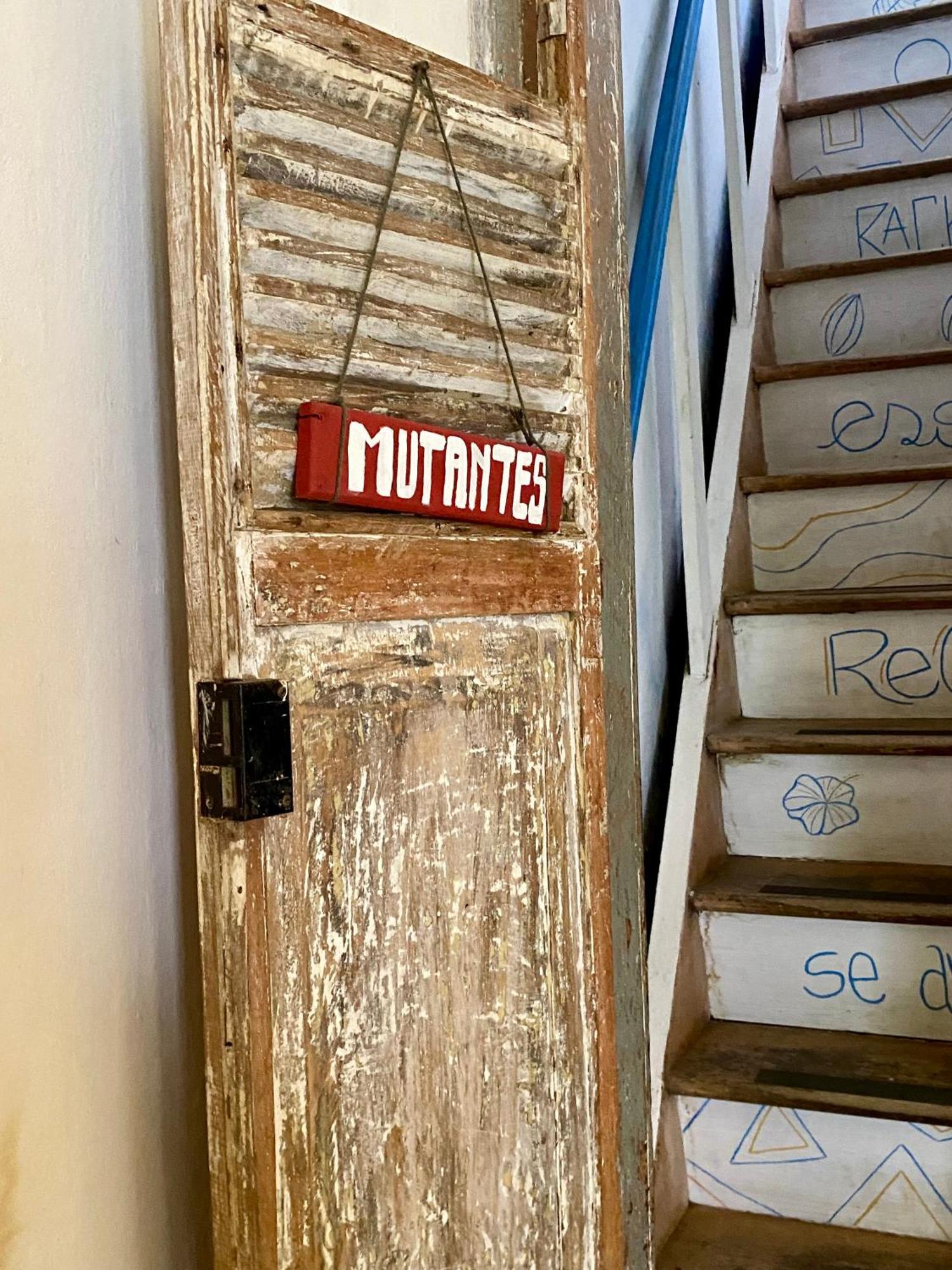 Tropicalia Hostel E Pousada Itacaré المظهر الخارجي الصورة