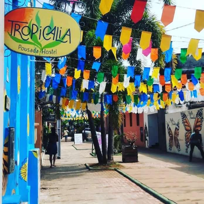 Tropicalia Hostel E Pousada Itacaré المظهر الخارجي الصورة